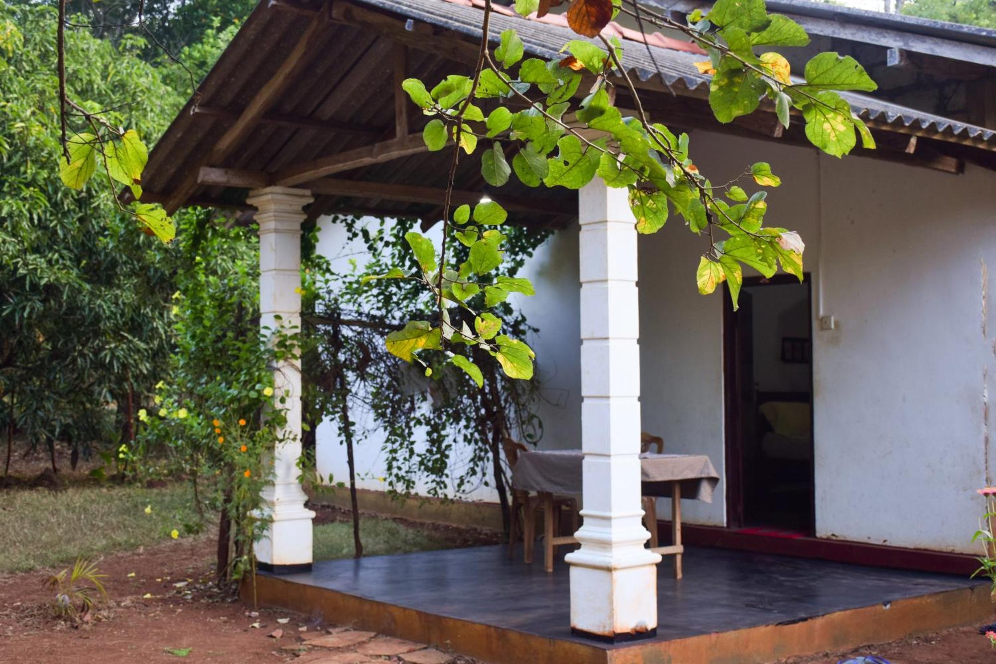 Senu Homestay Sigiriya Buitenkant foto